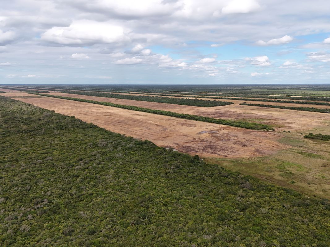 Propiedad Chajema Sector 1901 Ha — imagen 18