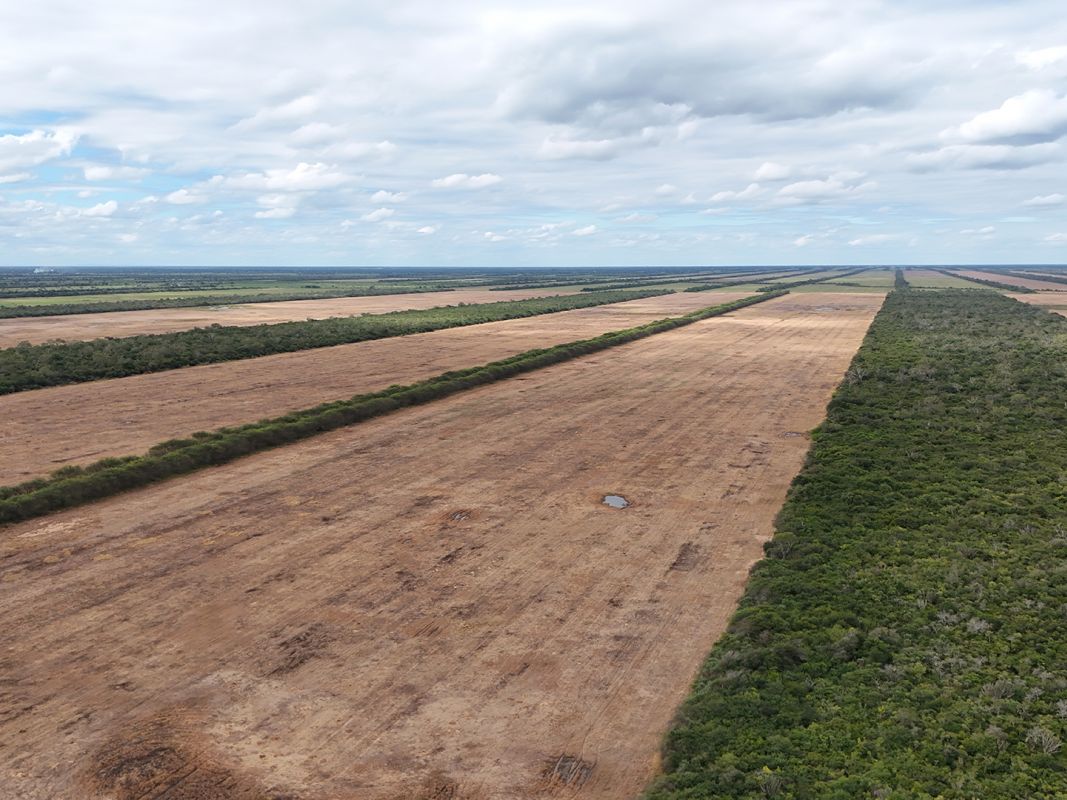 Propiedad Chajema Sector 1901 Ha — imagen 17