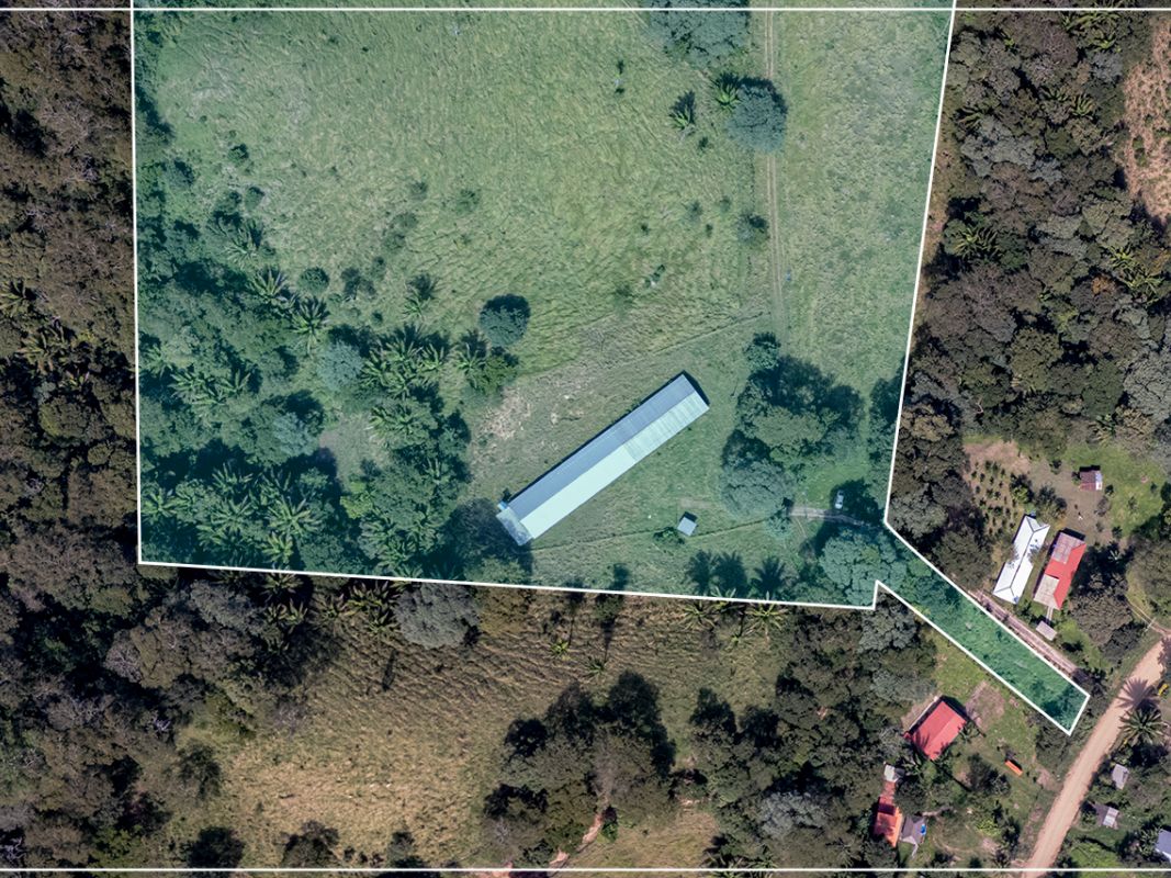 Propiedad 15.5 Ha (San Jose - zona La Guardia) — imagen 4