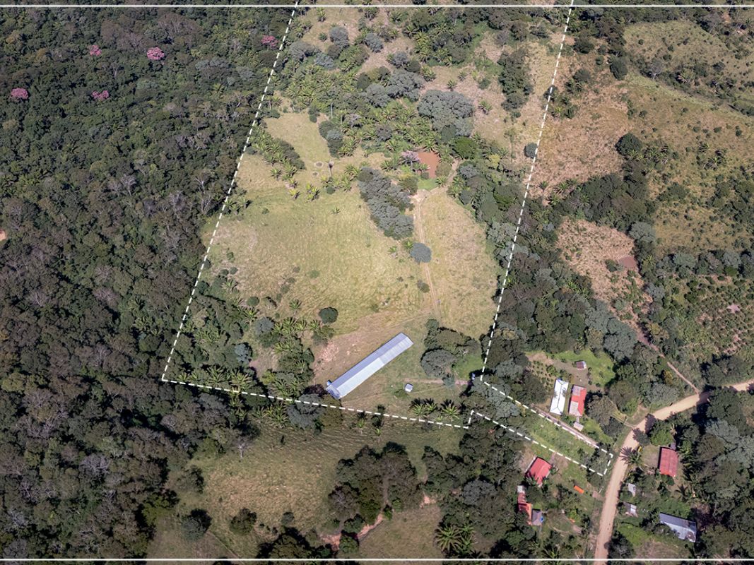 Propiedad 15.5 Ha (San Jose - zona La Guardia) — imagen 3