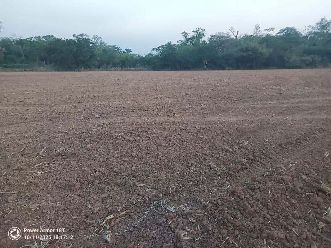 Propiedad Rincón de Palometilla — imagen 1