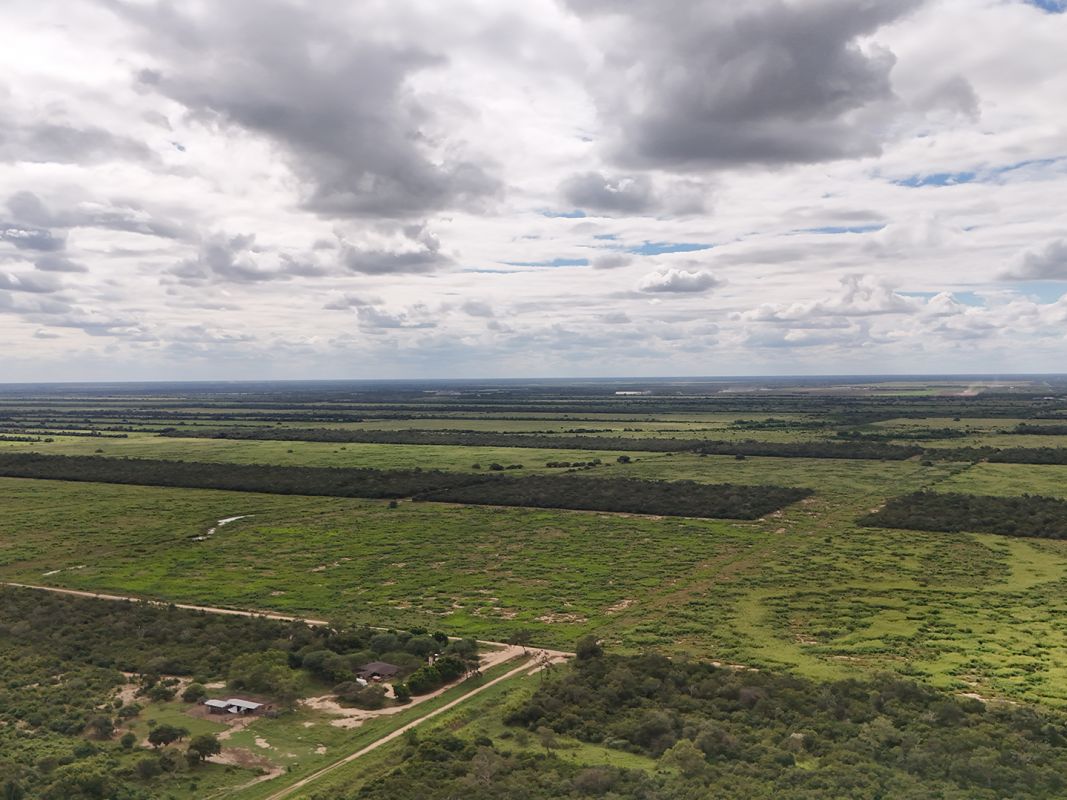 Propiedad Chajema Sector 1901 Ha — imagen 21