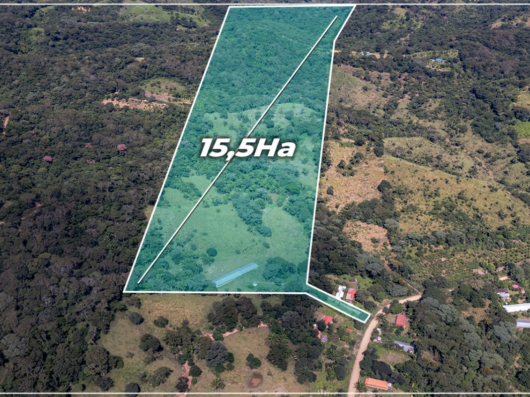 Propiedad 15.5 Ha (San Jose - zona La Guardia) — imagen 6