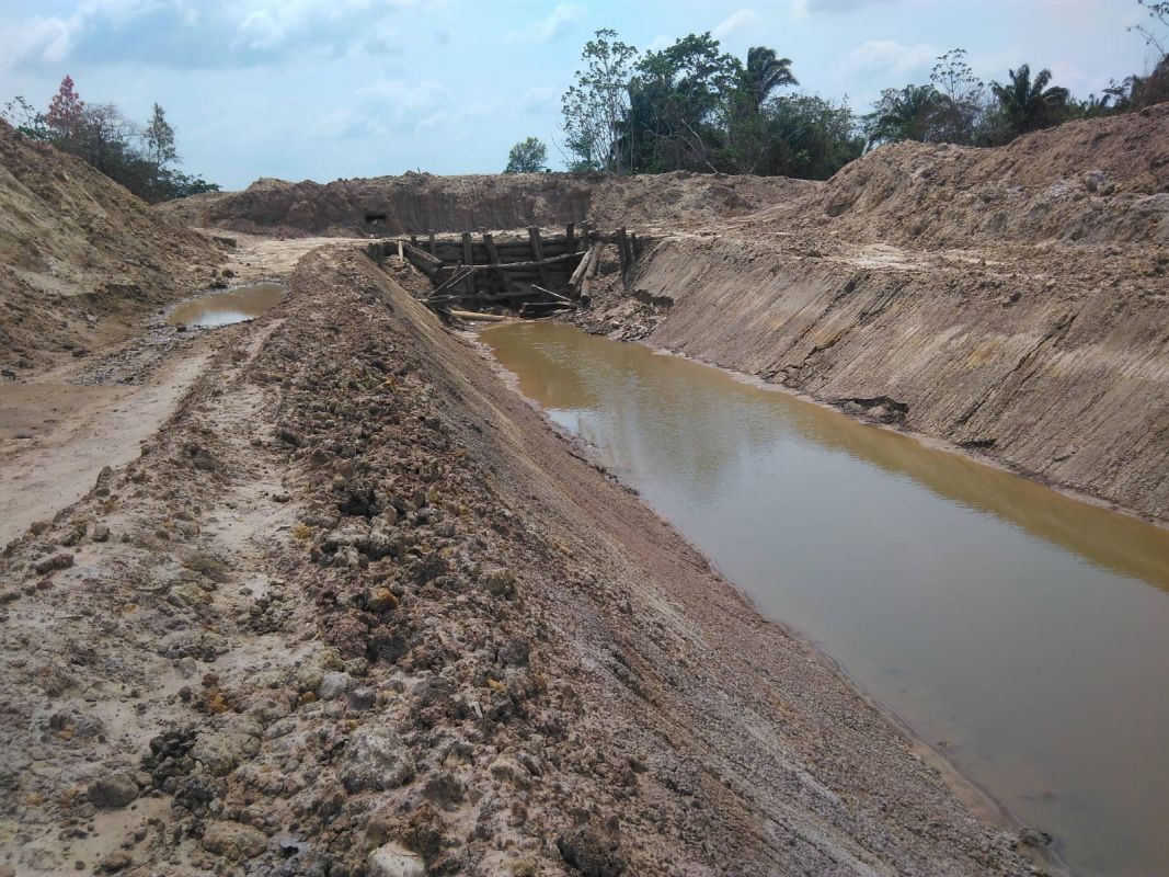 Propiedad Rincón de Palometilla — imagen 13