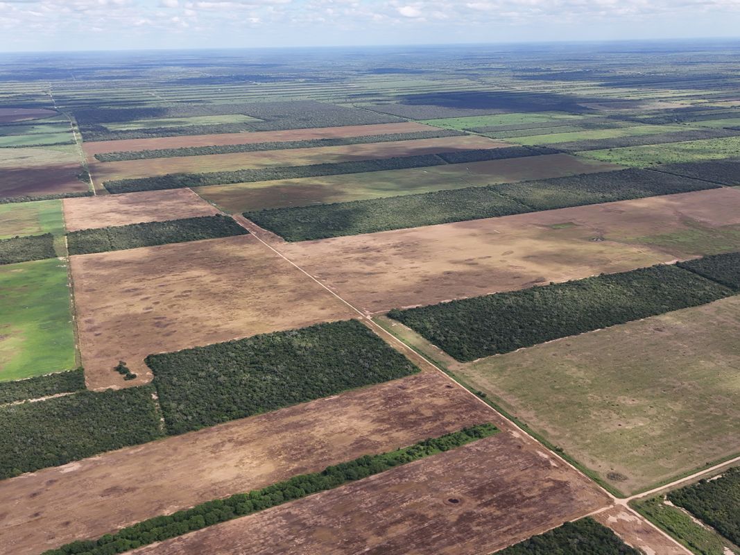 Propiedad Chajema Sector 1901 Ha — imagen 6
