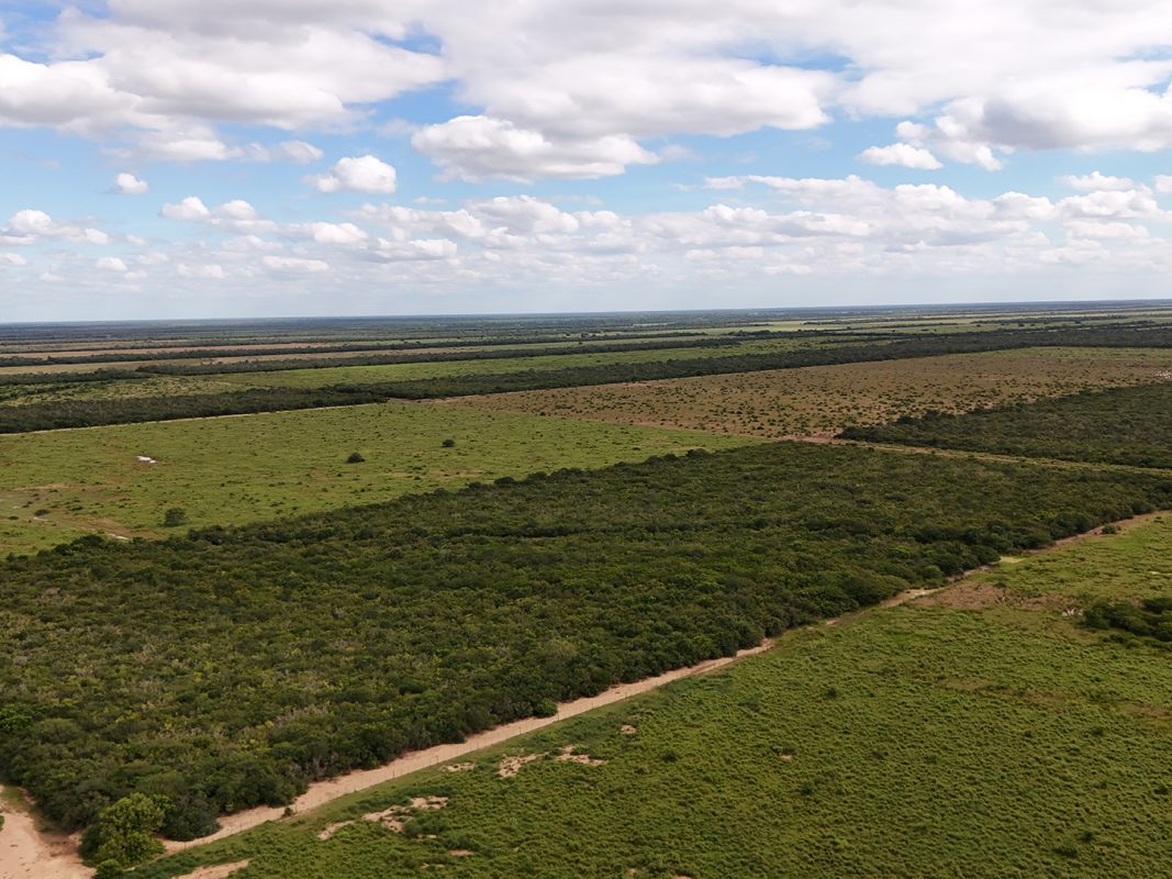 Propiedad Chajema Sector 1901 Ha — imagen 8