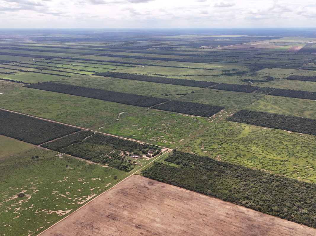 Propiedad Chajema Sector 1901 Ha — imagen 22