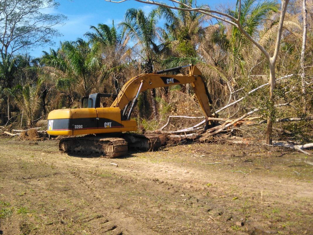 Propiedad Rincón de Palometilla — imagen 20