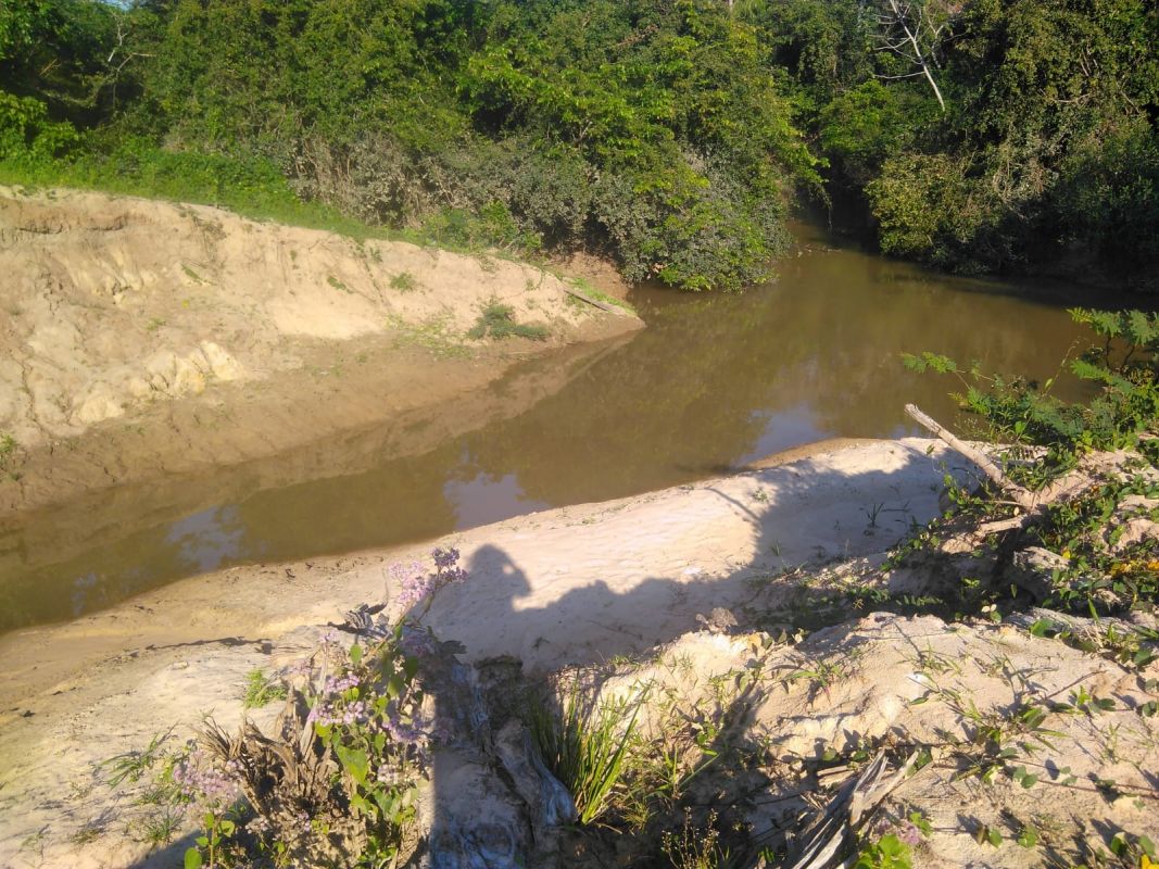 Propiedad Rincón de Palometilla — imagen 15