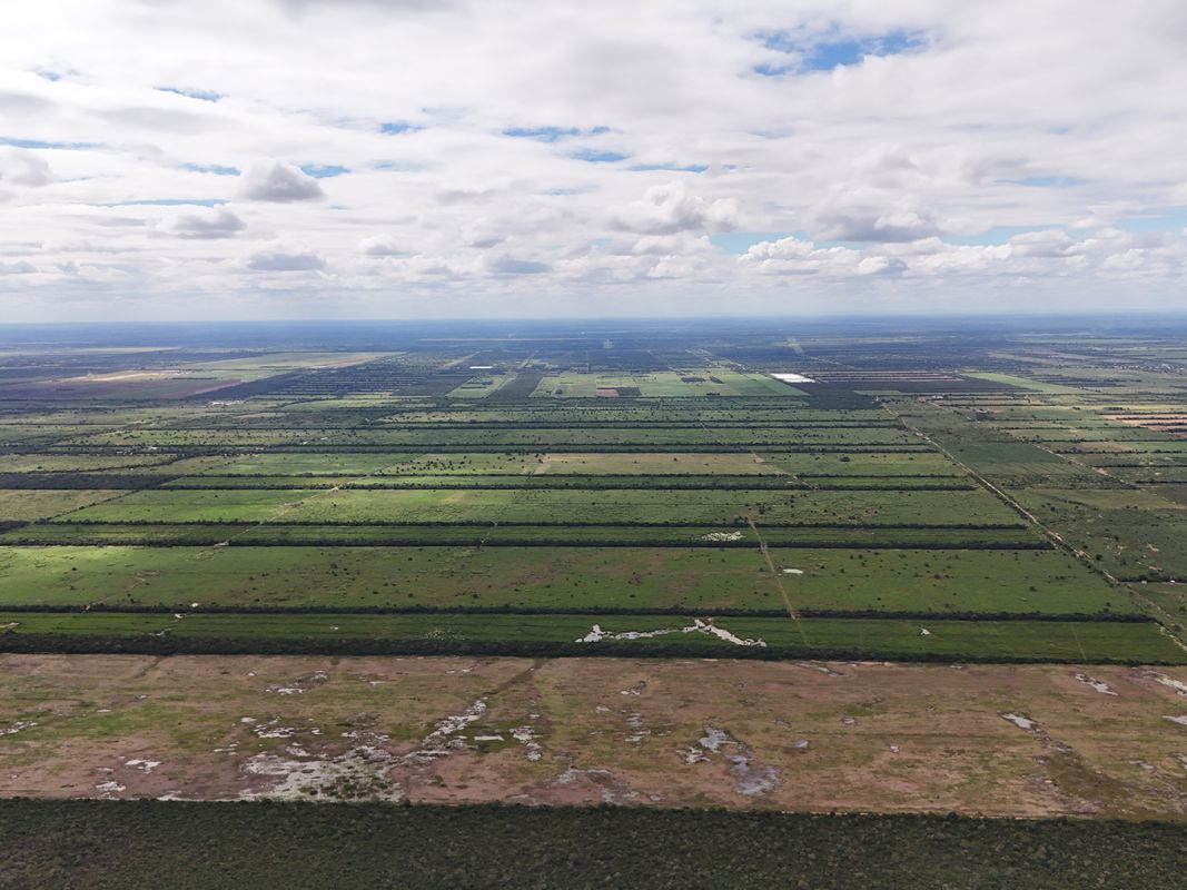 Propiedad Chajema Sector 1901 Ha — imagen 7