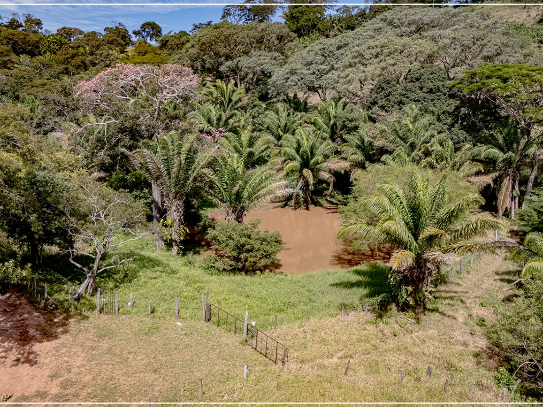 Propiedad 15.5 Ha (San Jose - zona La Guardia) — imagen 1