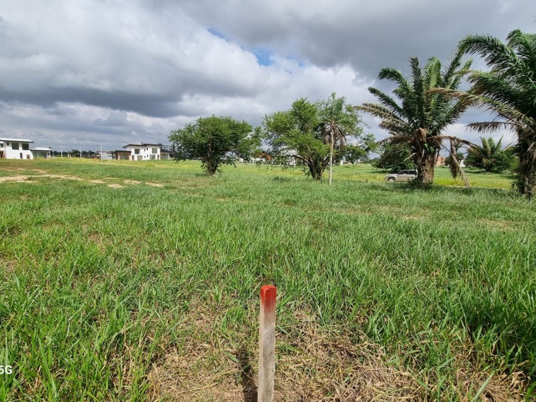 Terreno en Mar Adentro — imagen 4