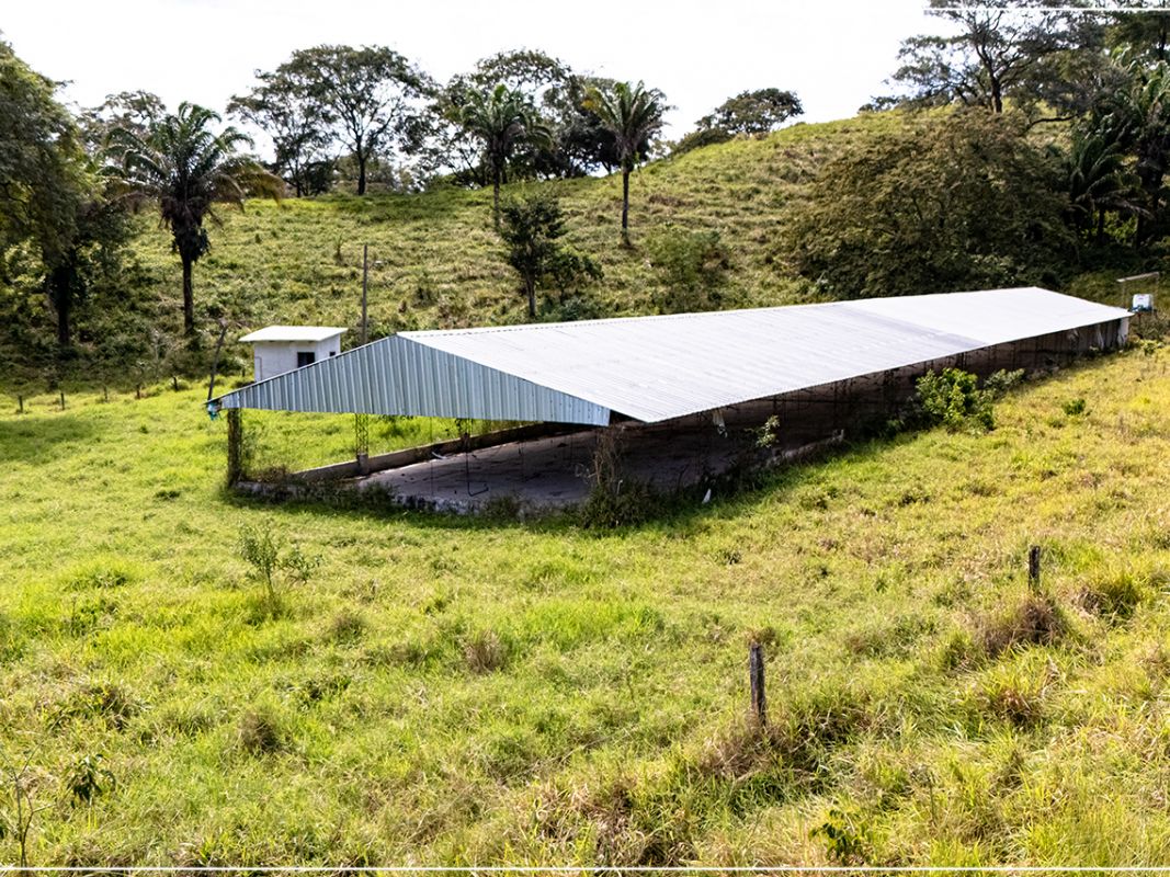 Propiedad 15.5 Ha (San Jose - zona La Guardia) — imagen 7