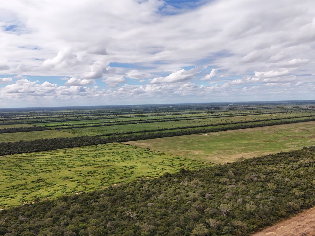Propiedad Chajema Sector 1901 Ha — imagen 13