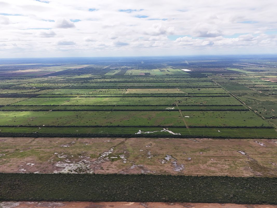 Propiedad Chajema Sector 1901 Ha — imagen 14