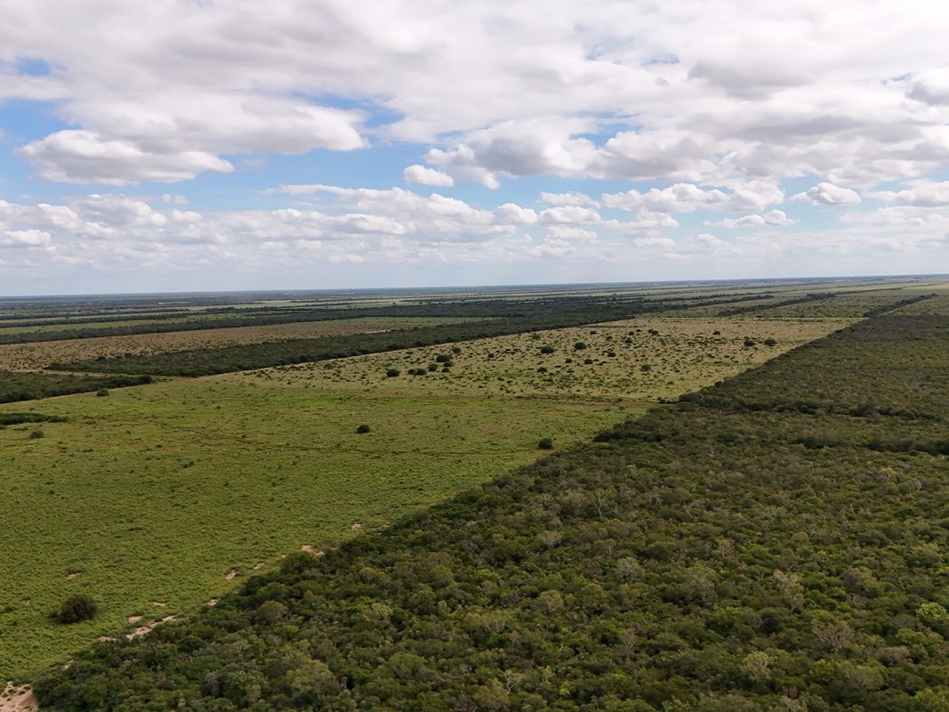Propiedad Chajema Sector 1901 Ha — imagen 11