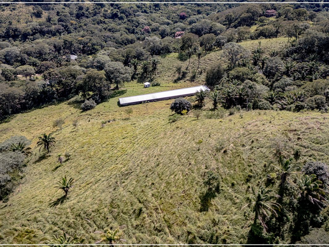 Propiedad 15.5 Ha (San Jose - zona La Guardia) — imagen 2