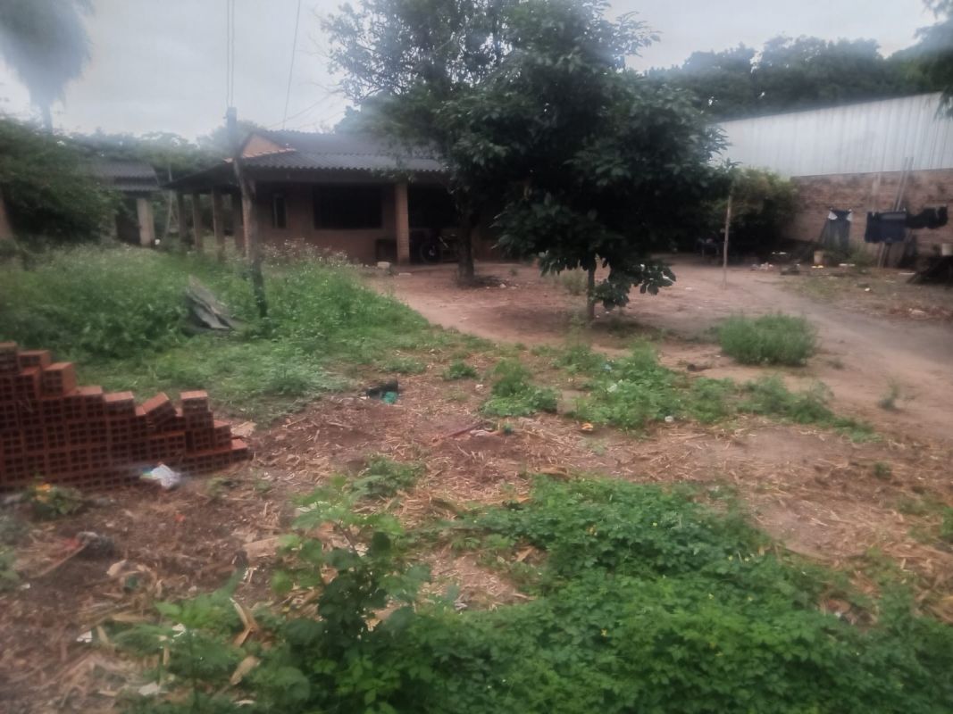 TERRENO COMERCIAL,  AVENIDA RADIAL 10 8VO ANILLO — imagen 2
