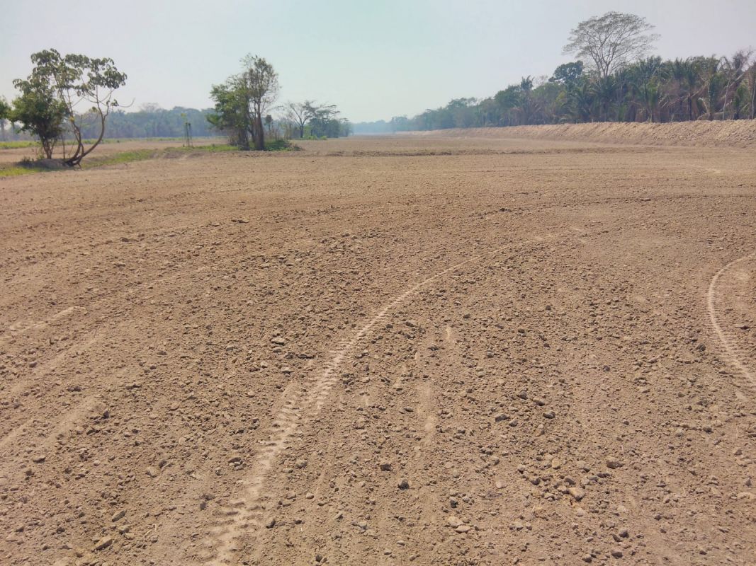 Propiedad Rincón de Palometilla — imagen 4