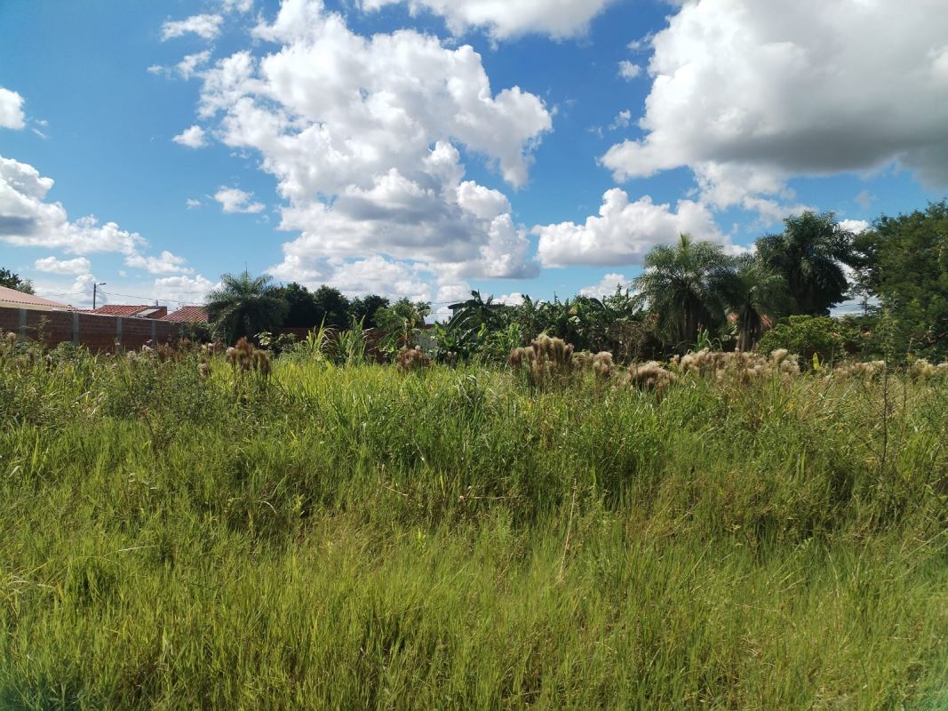 Terreno en Venta a precio de costo Zona Norte Akualand cerca a la carretera — imagen 3