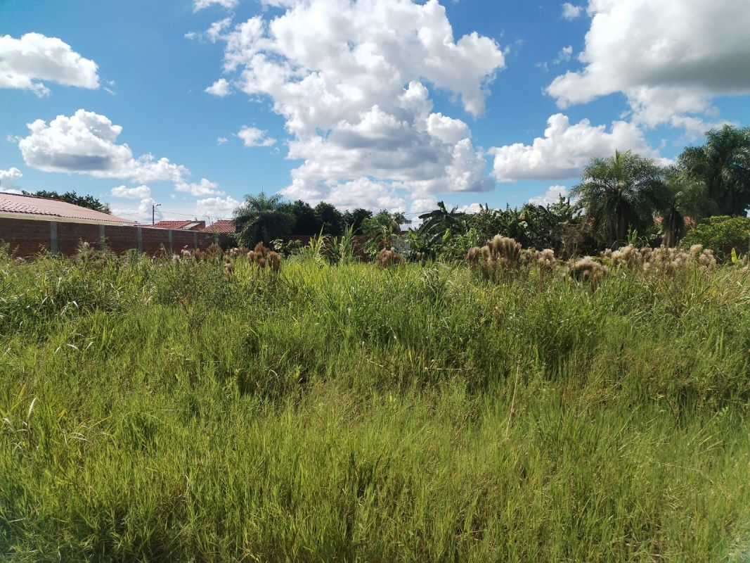 Terreno en Venta a precio de costo Zona Norte Akualand cerca a la carretera — imagen 6