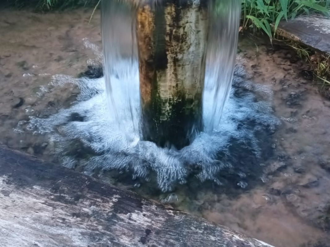 Propiedad Rincón de Palometilla — imagen 3