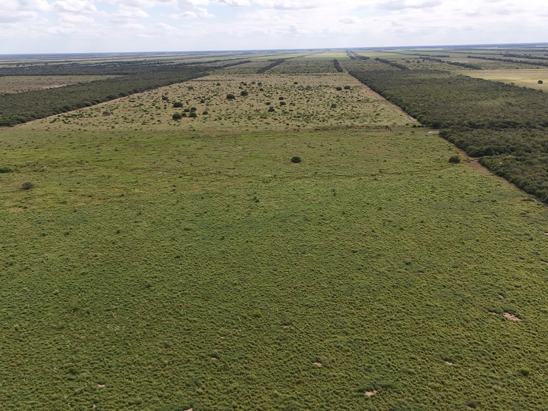 Propiedad Chajema Sector 1901 Ha — imagen 19