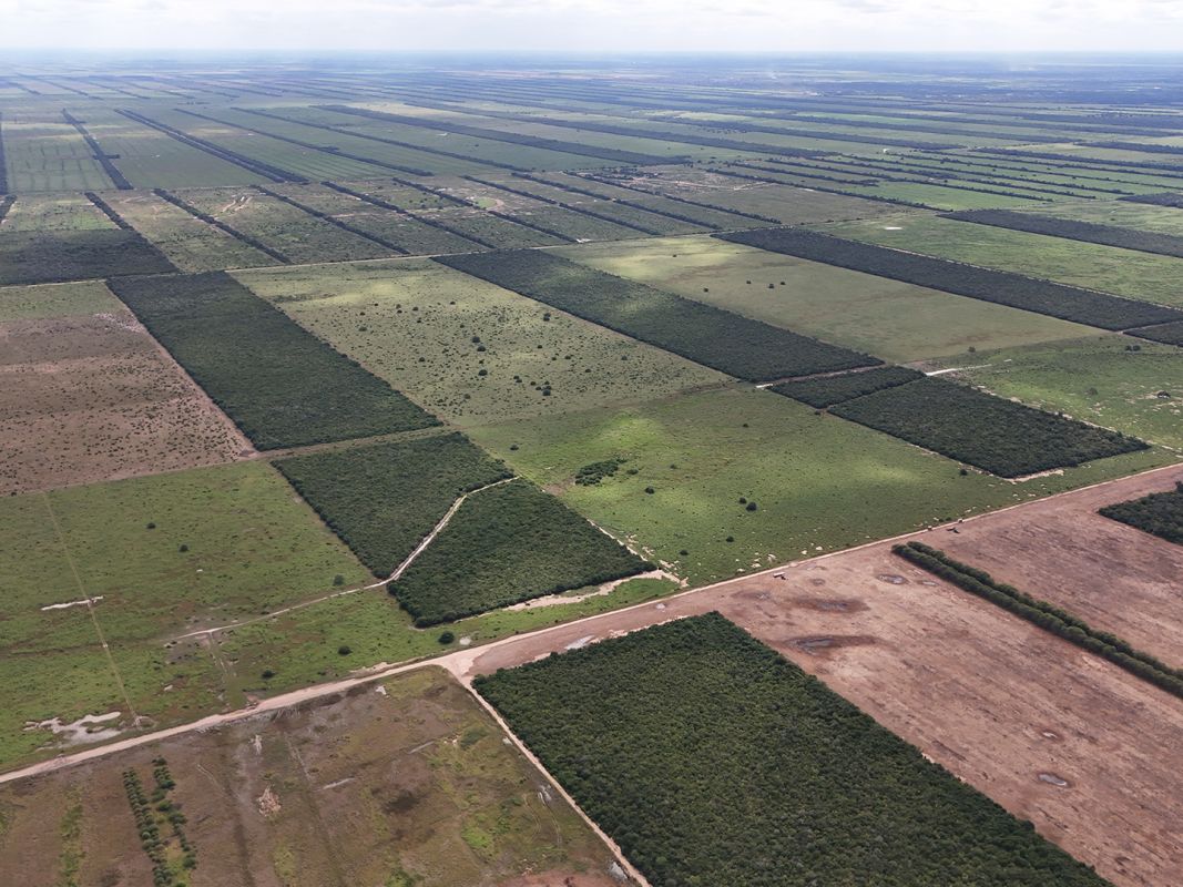 Propiedad Chajema Sector 1901 Ha — imagen 4