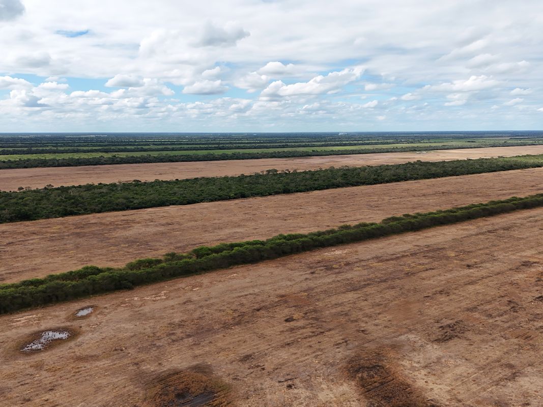 Propiedad Chajema Sector 1901 Ha — imagen 10