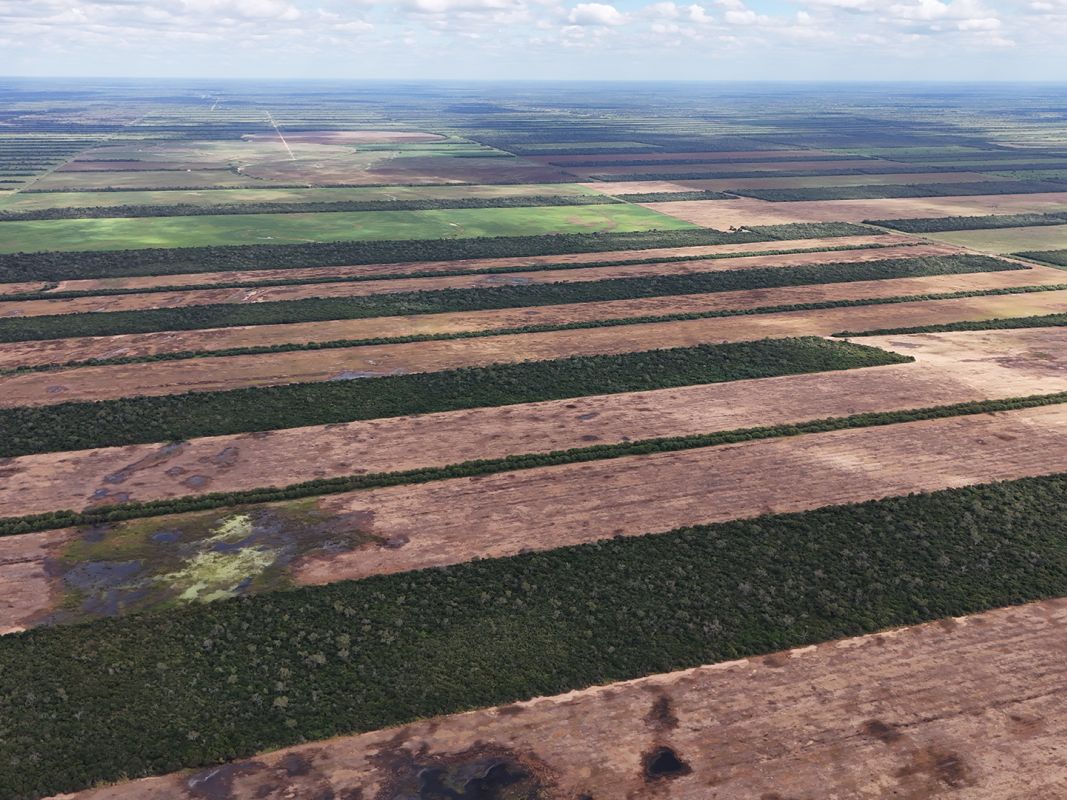Propiedad Chajema Sector 1901 Ha — imagen 1