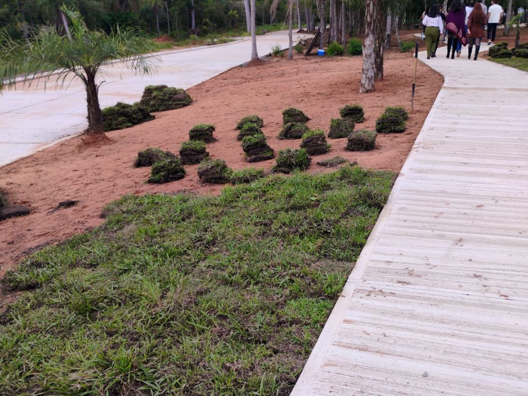 Terrenos en Paraguay — imagen 13