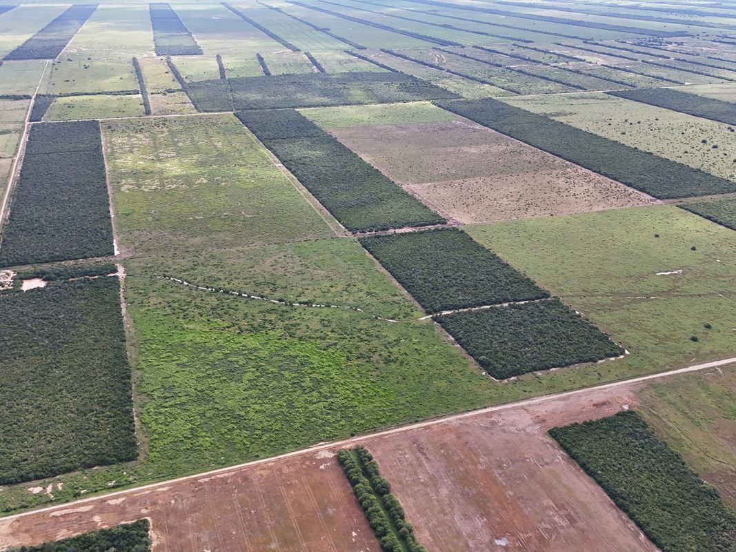 Propiedad Chajema Sector 1901 Ha — imagen 15