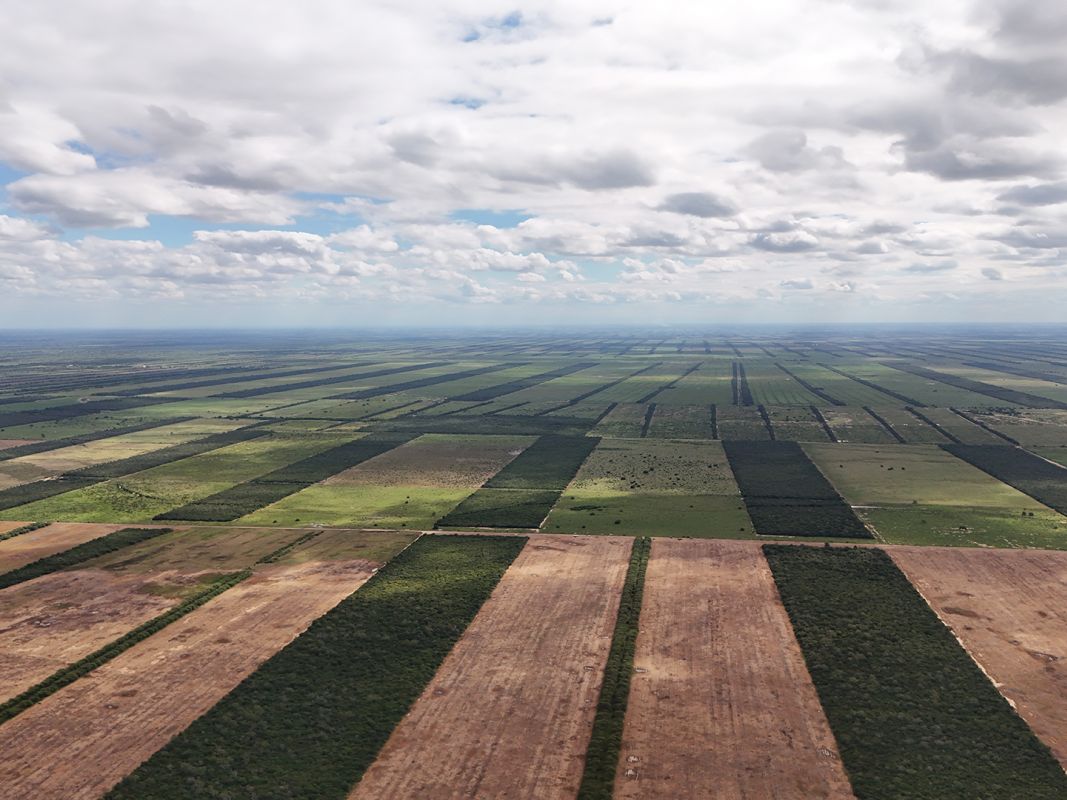 Propiedad Chajema Sector 1901 Ha — imagen 3