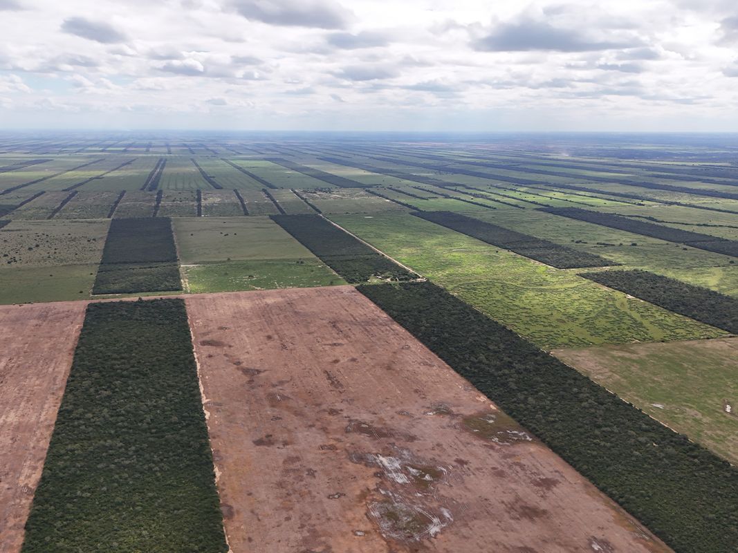 Propiedad Chajema Sector 1901 Ha — imagen 2