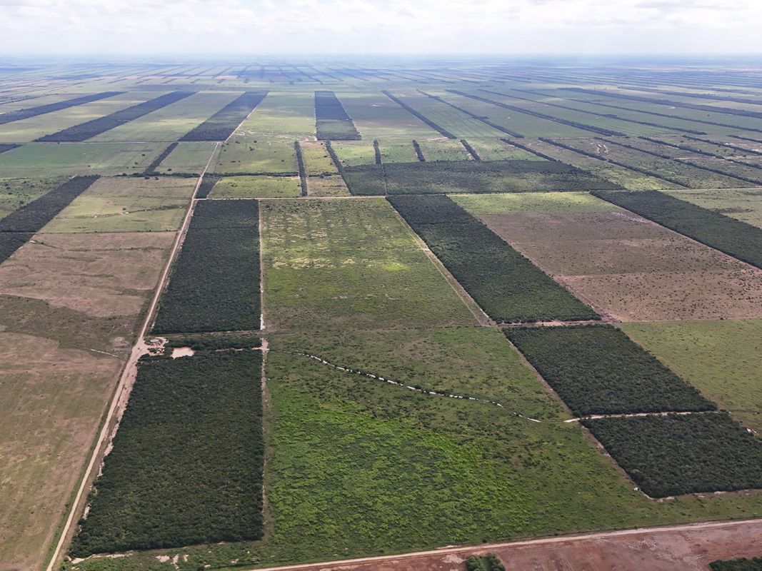 Propiedad Chajema Sector 1901 Ha — imagen 5